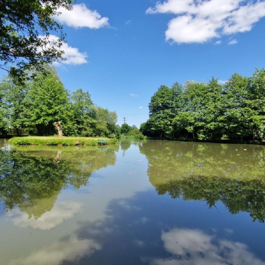  L'IMMOBILIER A LA LOUPE : Terrain | MEAUCE (28240) | 12 816 m2 | 96 300 € 