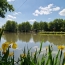  L'IMMOBILIER A LA LOUPE : Terrain | MEAUCE (28240) | 12 816 m2 | 96 300 € 