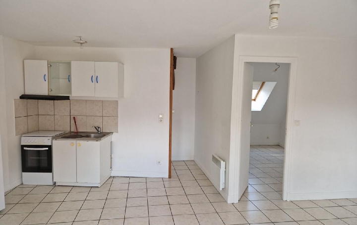  L'IMMOBILIER A LA LOUPE Appartement | LA LOUPE (28240) | 62 m2 | 390 € 